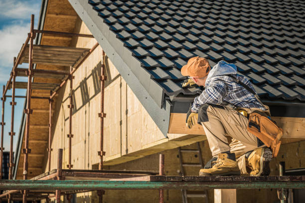 Best Roof Gutter Cleaning  in Forest View, IL