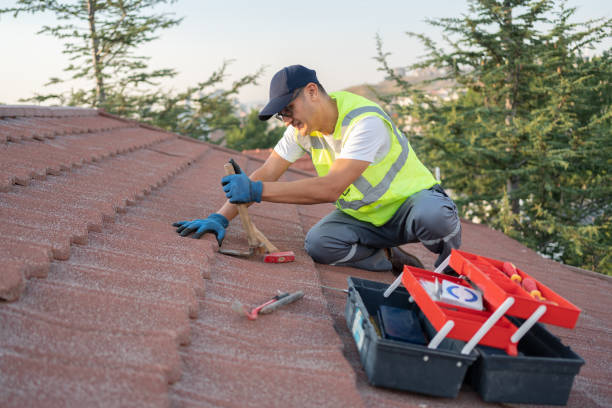 Roof Installation Near Me in Forest View, IL