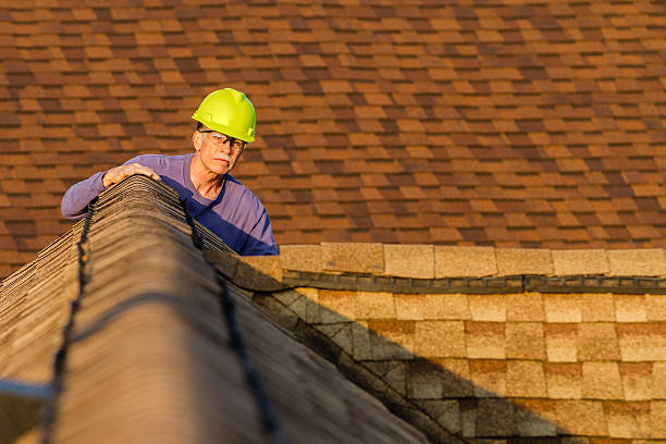 Quick and Trustworthy Emergency Roof Repair Services in Forest View, IL